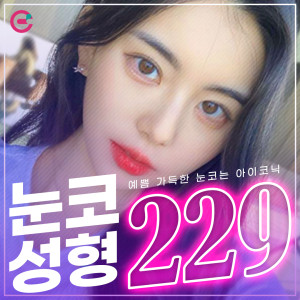 눈코성형 229